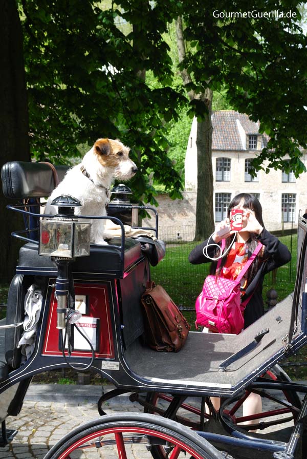 Bruges carriage ride dog companion # gourmet guerrilla # city tips #travel # bruges 
