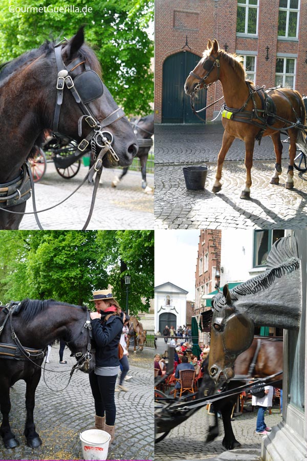  Bruges horse-drawn carriage horses #gourmet guerrilla # city tips #travel # bruges 
